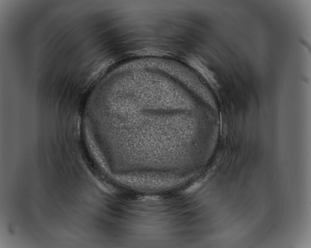 X0000091700157200709210929