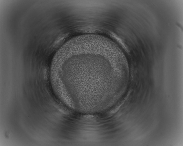 X0000091700161200709210929