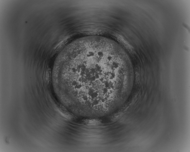 X0000091700165200709210929