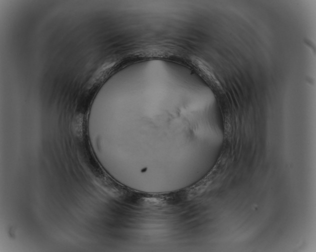 X0000091700167200709210929