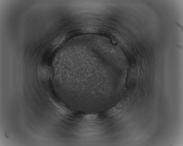 X0000091700168200709210929