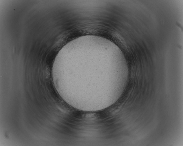 X0000091700173200709210929