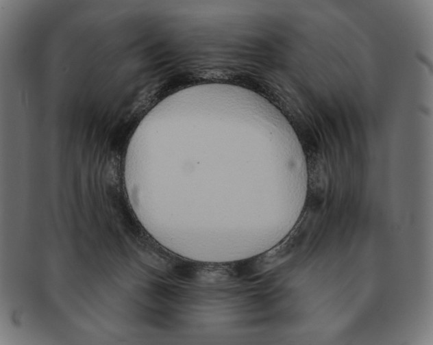 X0000091700175200709210929