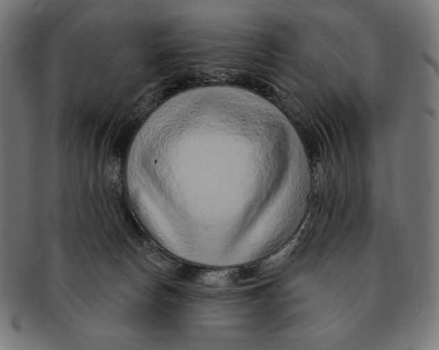 X0000091700178200709210929