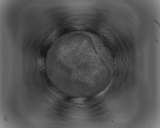 X0000091700182200709210929