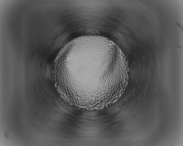 X0000091700185200709210929