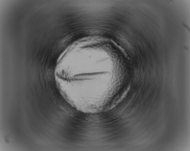 X0000091700189200709210929