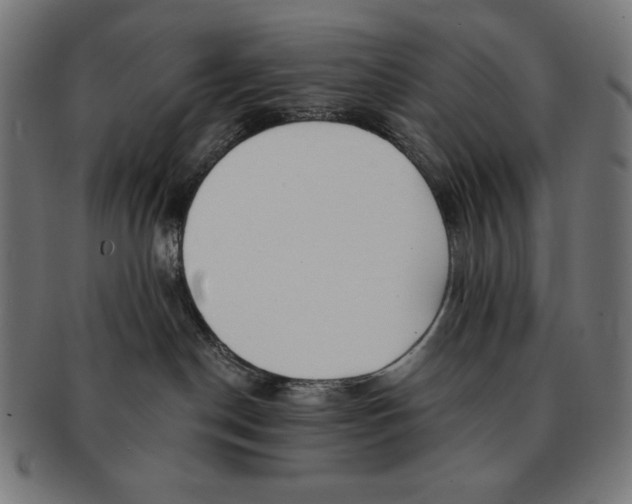 X0000091700190200709210929