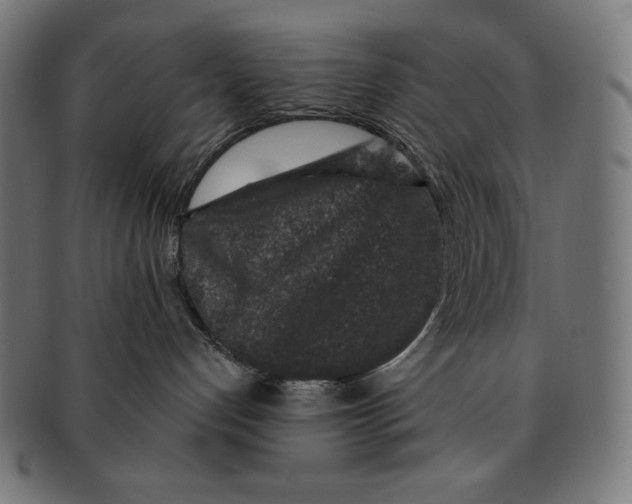 X0000091700192200709210929