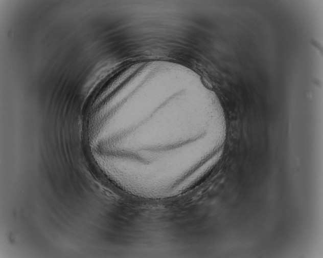 X0000091700194200709210929