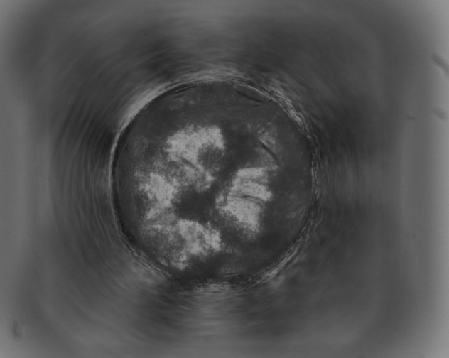 X0000091700196200709210929