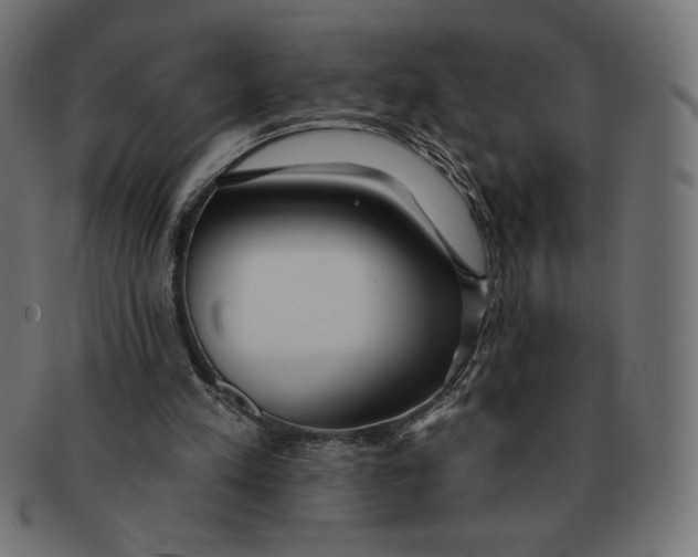 X0000091700197200709210929