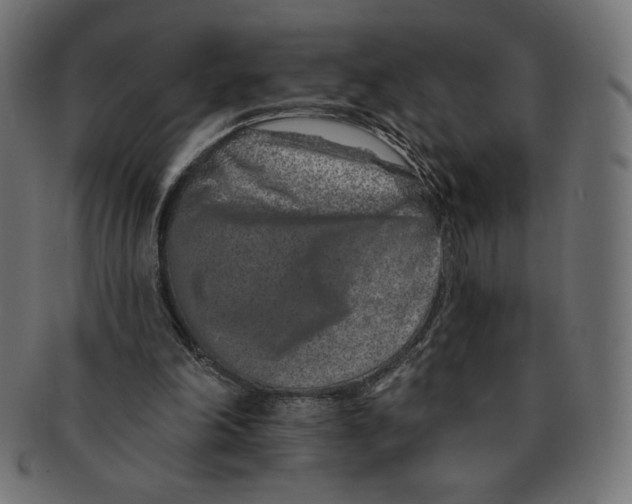 X0000091700198200709210929