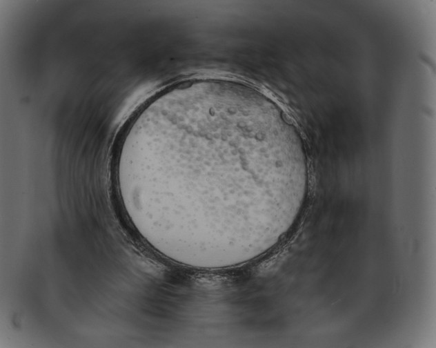 X0000091700199200709210929