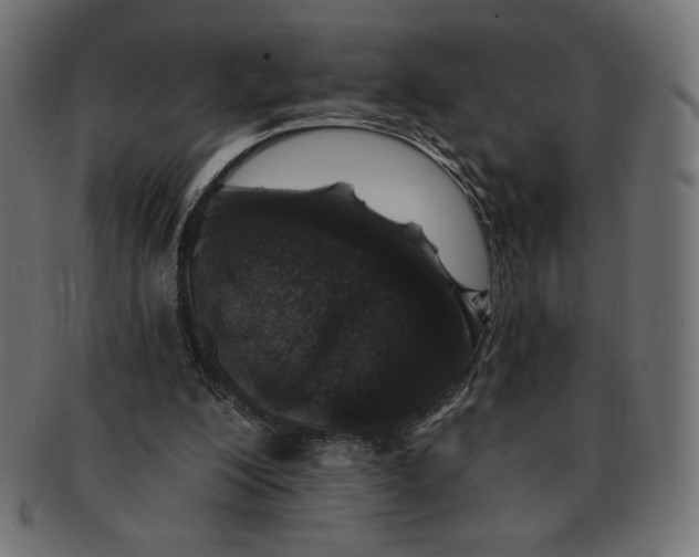 X0000091700200200709210929