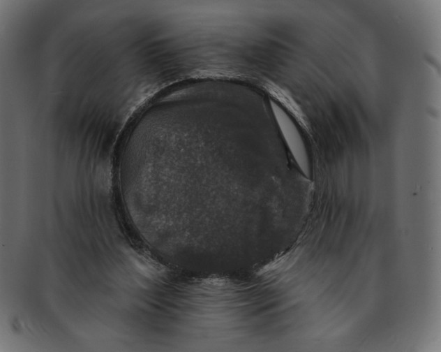 X0000091700204200709210929