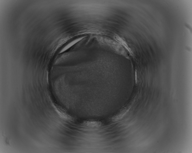 X0000091700205200709210929