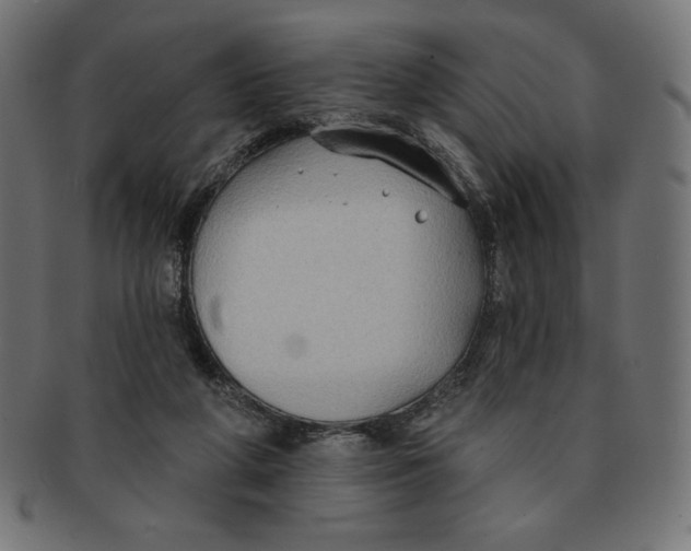 X0000091700210200709210928