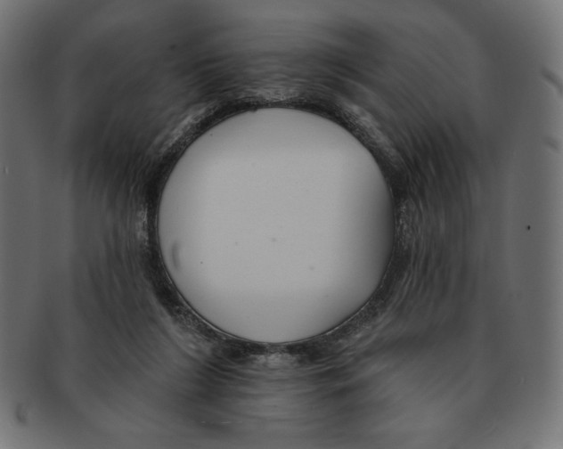 X0000091700212200709210928