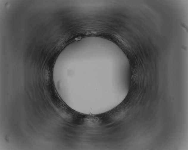 X0000091700215200709210928