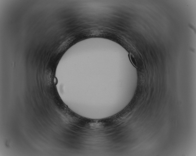 X0000091700216200709210928