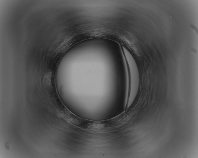 X0000091700217200709210928