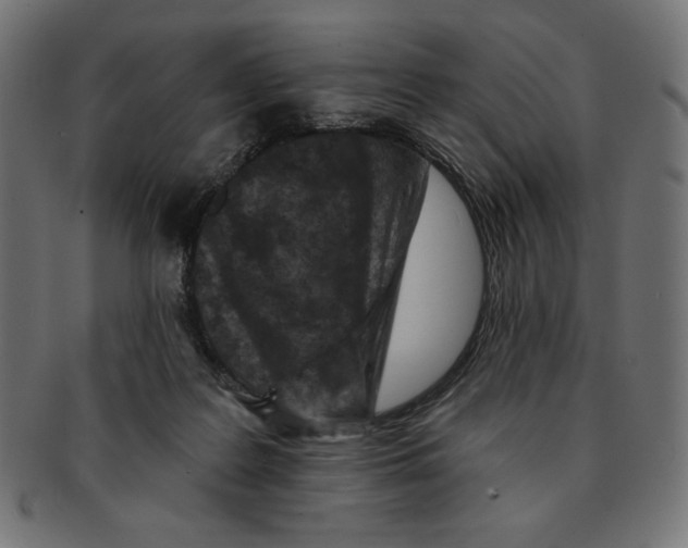 X0000091700219200709210928