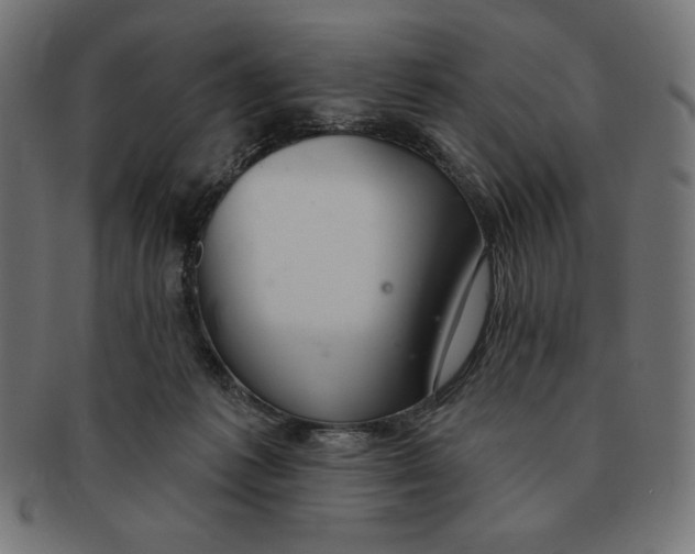 X0000091700221200709210928