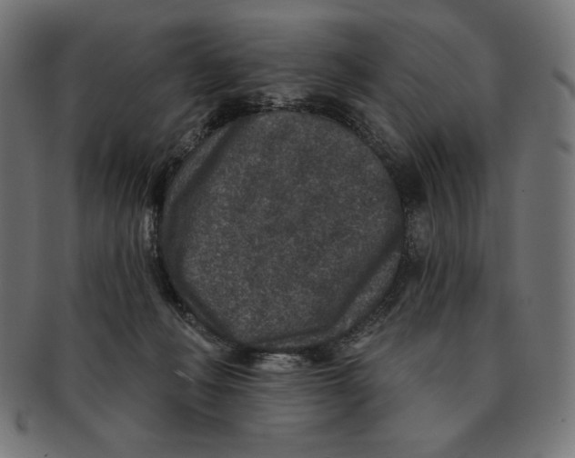 X0000091700222200709210928