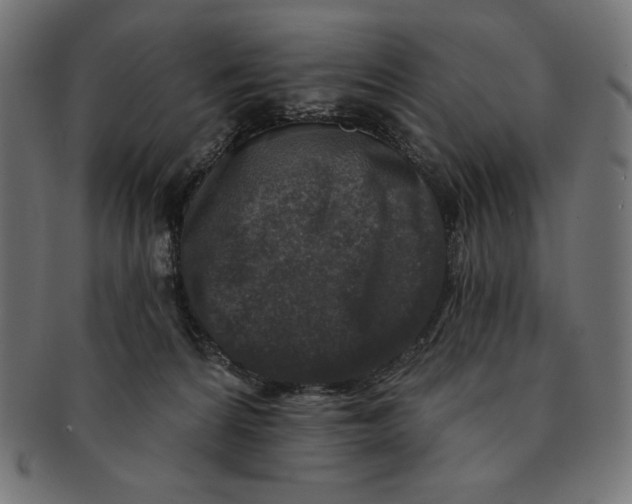 X0000091700224200709210928