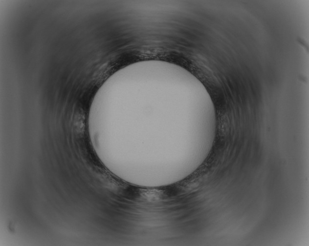 X0000091700226200709210928