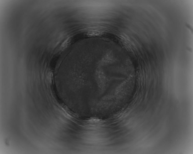 X0000091700227200709210928