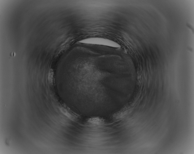 X0000091700231200709210928