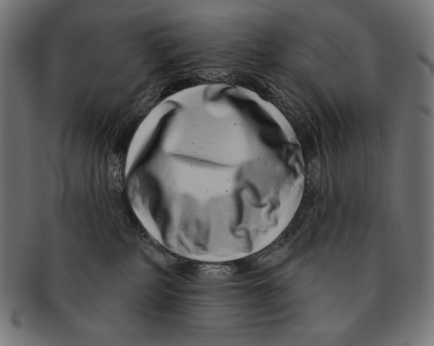 X0000091700234200709210928