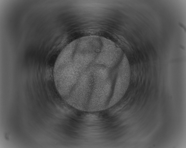 X0000091700236200709210928