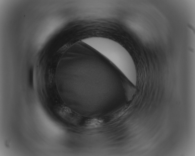 X0000091700239200709210928