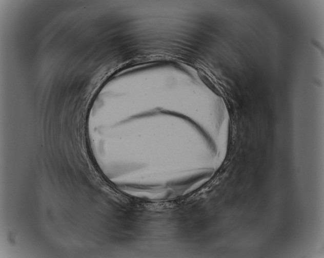 X0000091700241200709210928