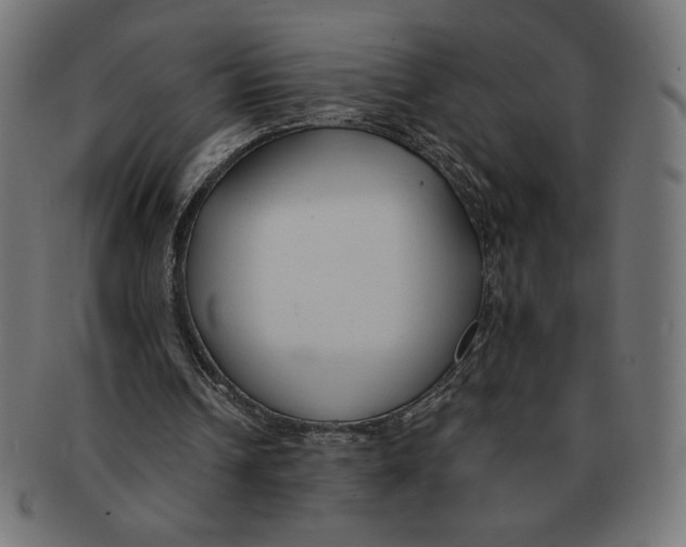 X0000091700242200709210928