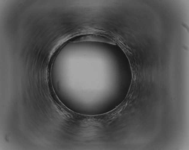 X0000091700244200709210928