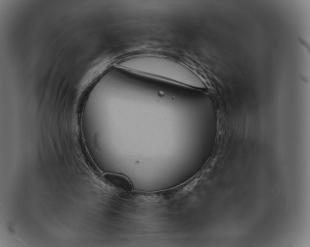 X0000091700245200709210928