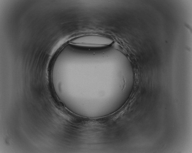 X0000091700246200709210928