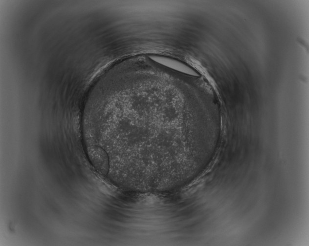 X0000091700249200709210928