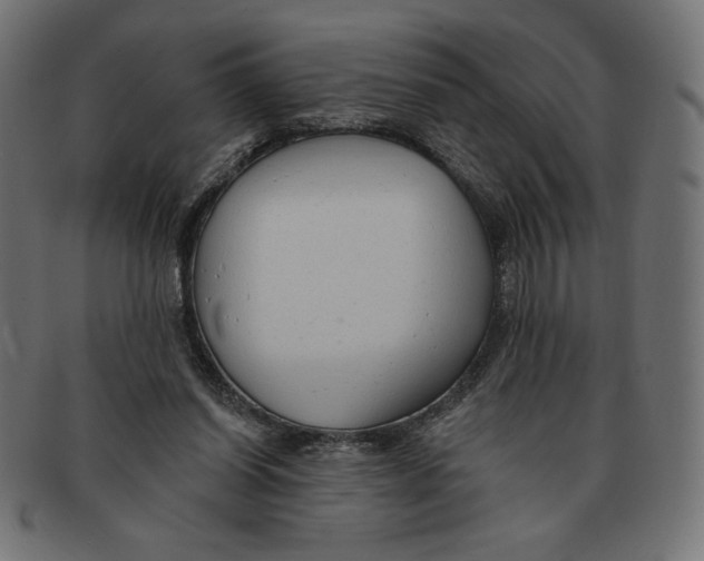 X0000091700254200709210928