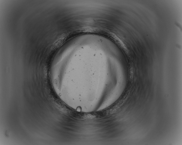 X0000091700257200709210928