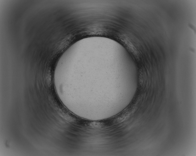 X0000091700261200709210928