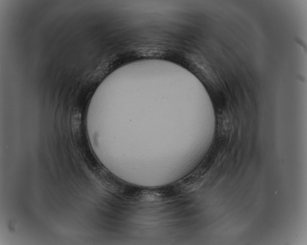 X0000091700263200709210928