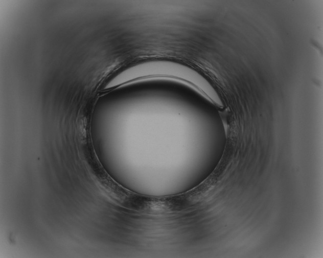 X0000091700264200709210928