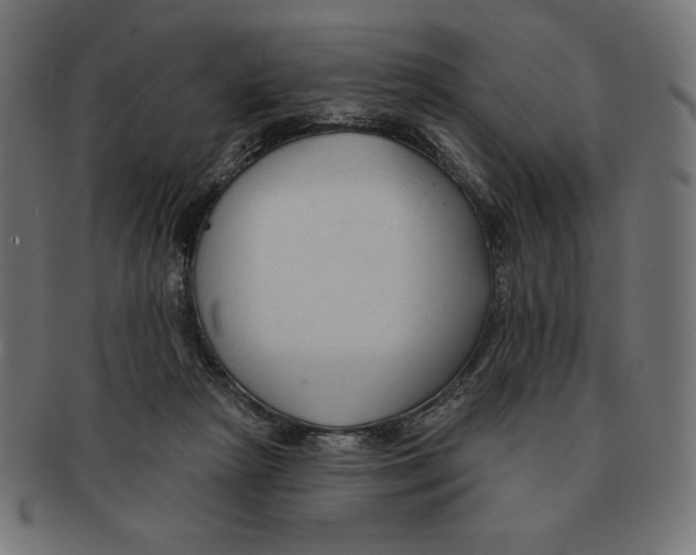 X0000091700265200709210928