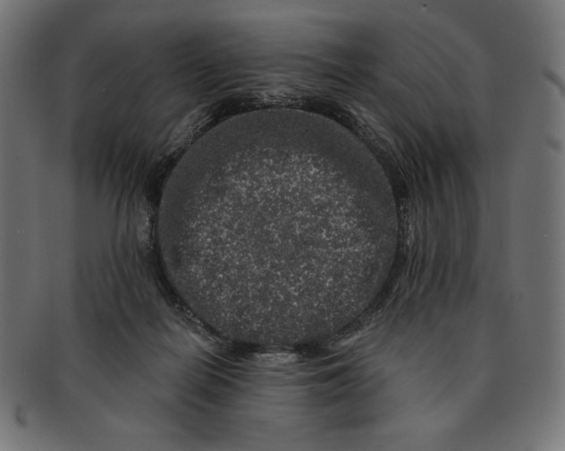 X0000091700266200709210928