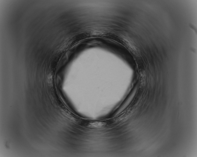 X0000091700269200709210928